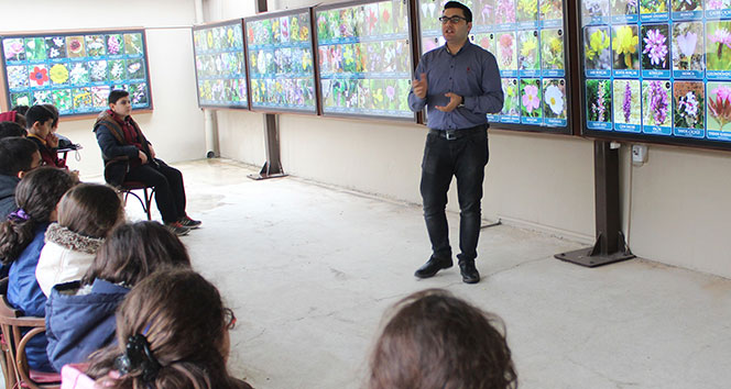 Türkiye’nin tek Şifalı bitkiler müzesi Hatay’da