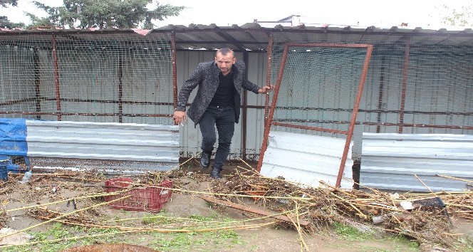 Hatay’da sele kapılan hayvanlar telef oldu