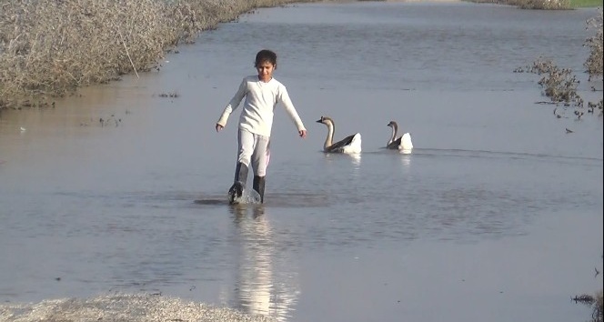 Amik Ovası sular altında