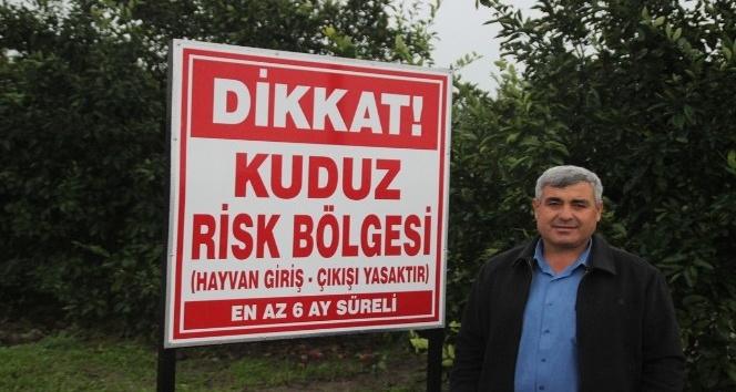 Hatay’da 2 mahallede kuduz karantinası