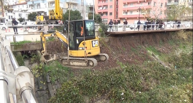 Su sümbülleriyle mücadele için Asi Nehri’ne kepçe indirildi