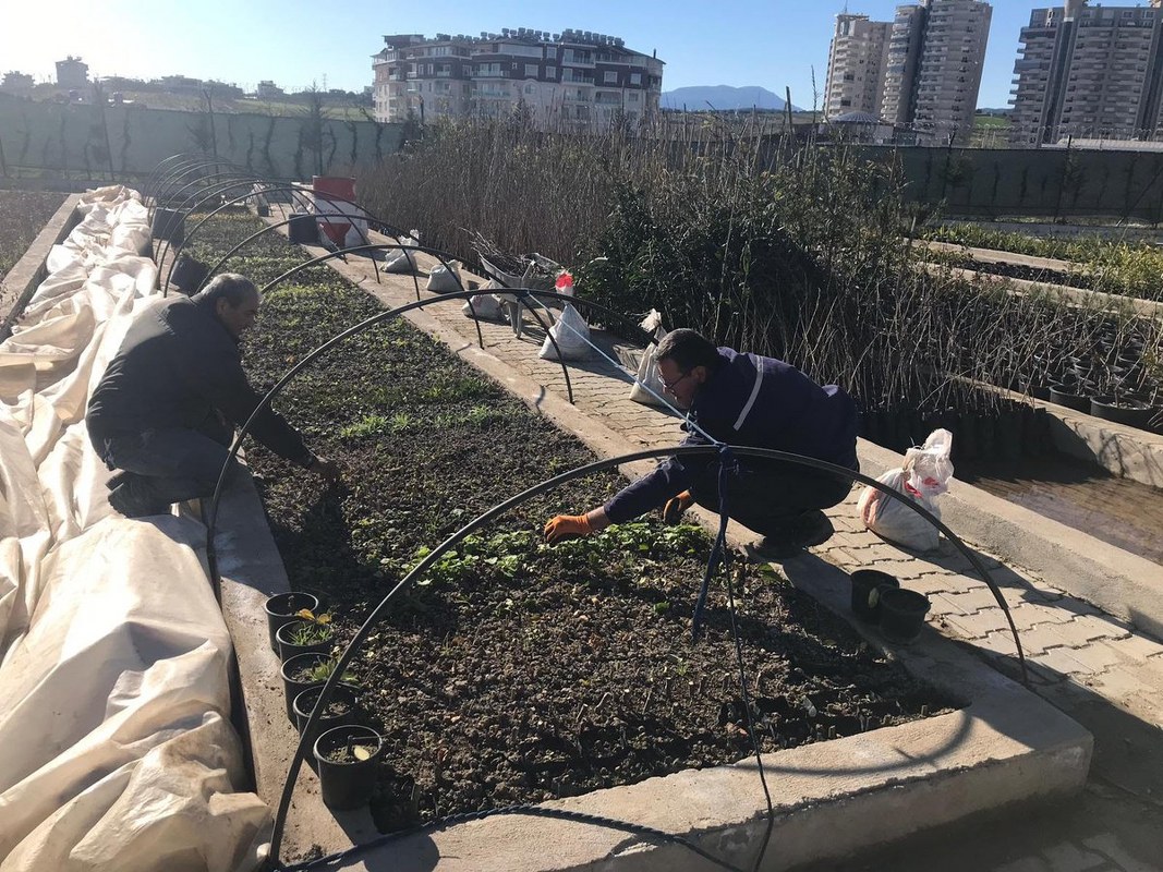 BİTKİ ÜRETİM MERKEZİ’NDE ÇALIŞMALAR DEVAM EDİYOR