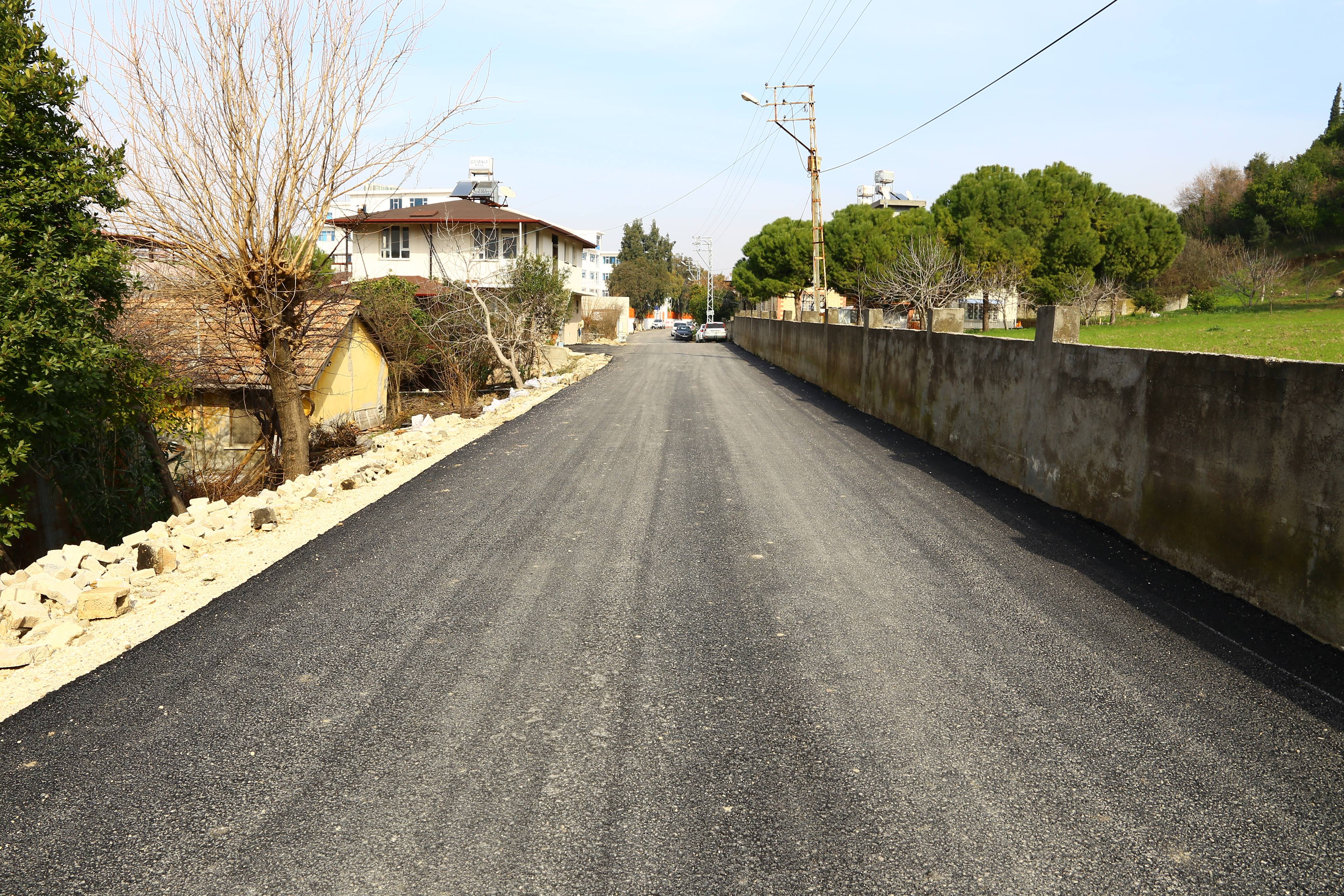 Defne Aşağıokçular (2)