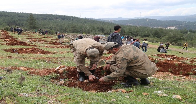 Hataylı Çanakkale şehitlerinin adı Amanoslar’da yaşatılacak