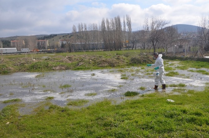 BOZÜYÜK’TE LARVA MÜCADELESİ SU BİRİKİNTİLERİNDE DEVAM EDİYOR