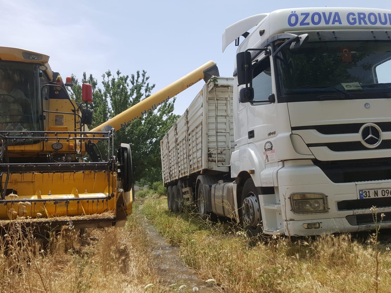 ÖZOVA SEZONUN İLK BUĞDAYINI ALDI