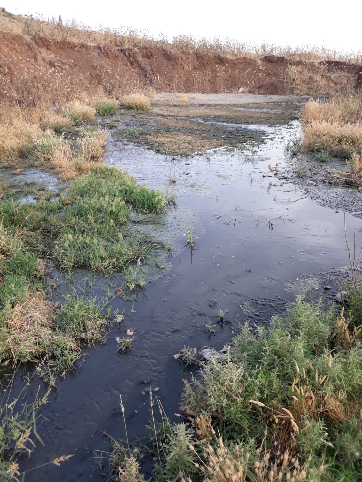 Lütfü Savaş Duy Bu Vatandaşların Sesini