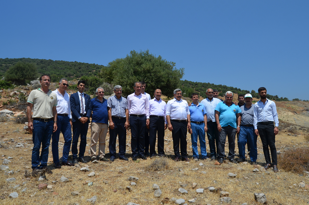 alaybeyli