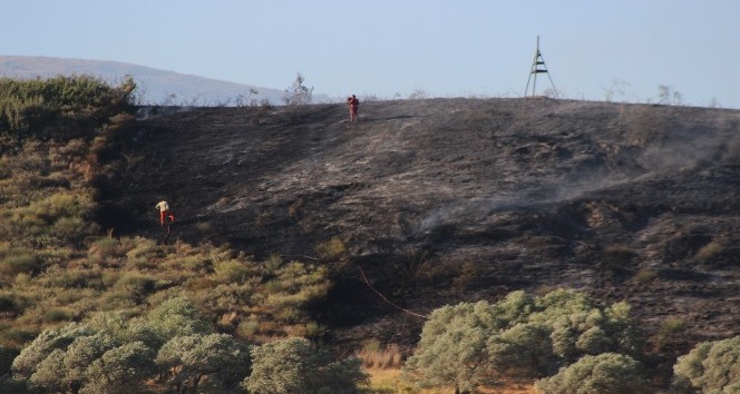 Hatay’da çıkan yangında 4 hektarlık alan kül oldu