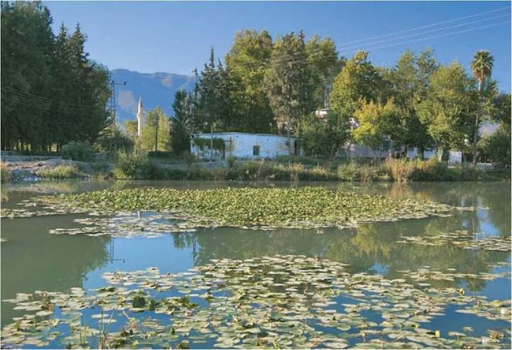 Yedi Köyün adı: Çamsarı