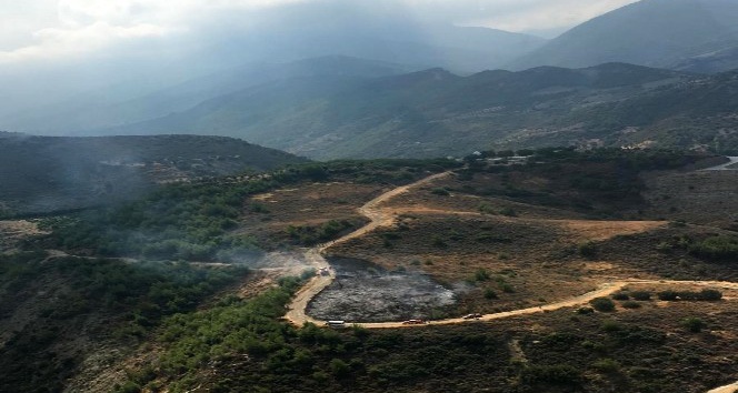 Hatay’da orman yangını