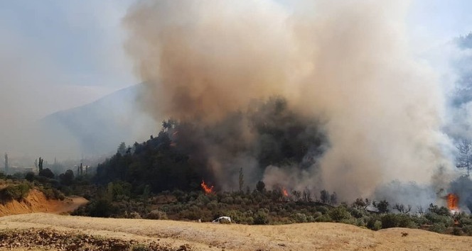 Hassa’da çıkan orman yangını kontrol altına alındı