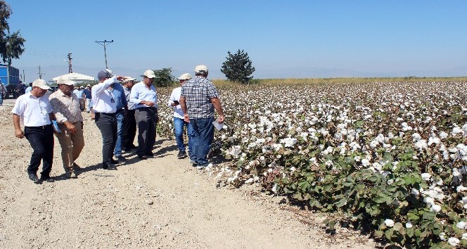 Hatay’da ‘Tarla Günü’ etkinliği