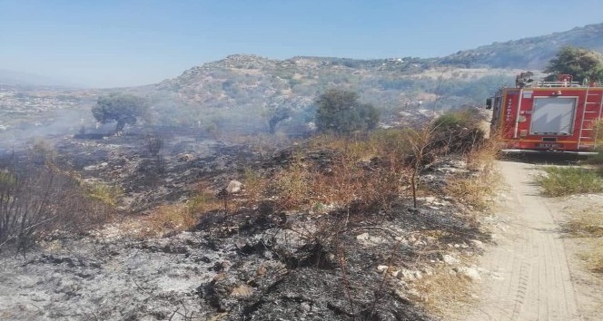 Samandağ’da bitki örtüsü yangını