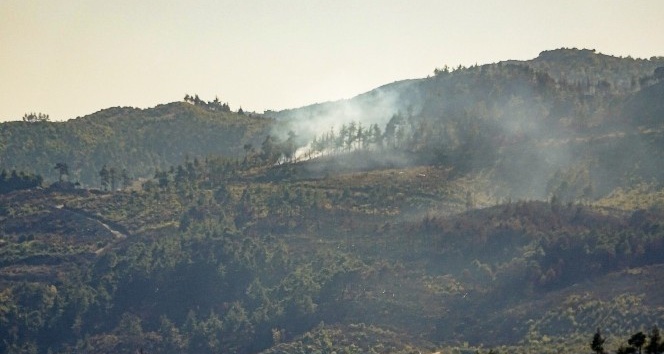 Suriye sınırında orman yangını