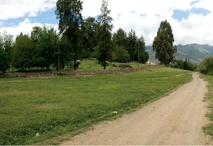 kodalı