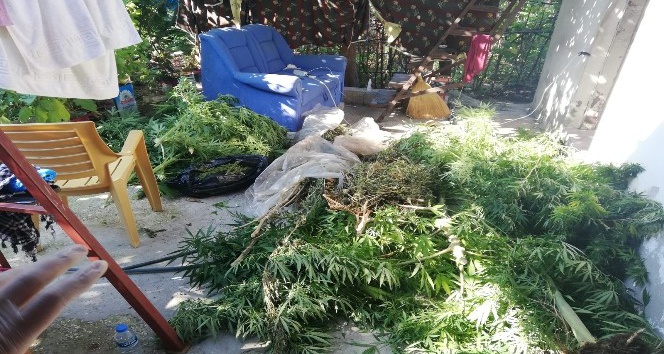 Hatay’da uyuşturucu operasyonu: 1 gözaltı