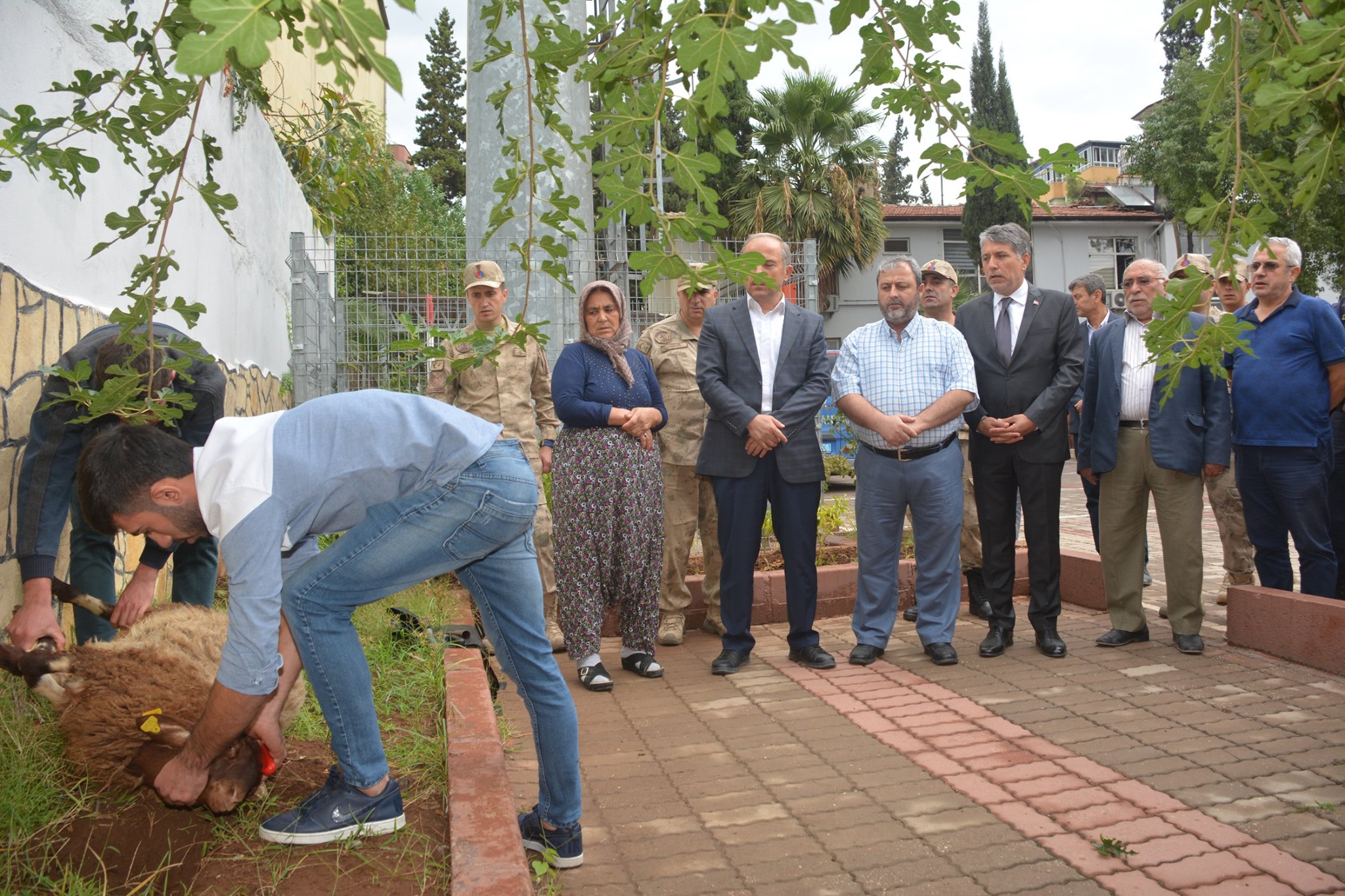 Yörük Ana’dan, Barış Pınarı Harekatı’ndaki askerlere kurban