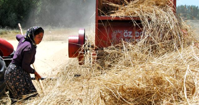 Çiftçiye ve hayvancılığa 2019 yılında verilecek destekler belli oldu