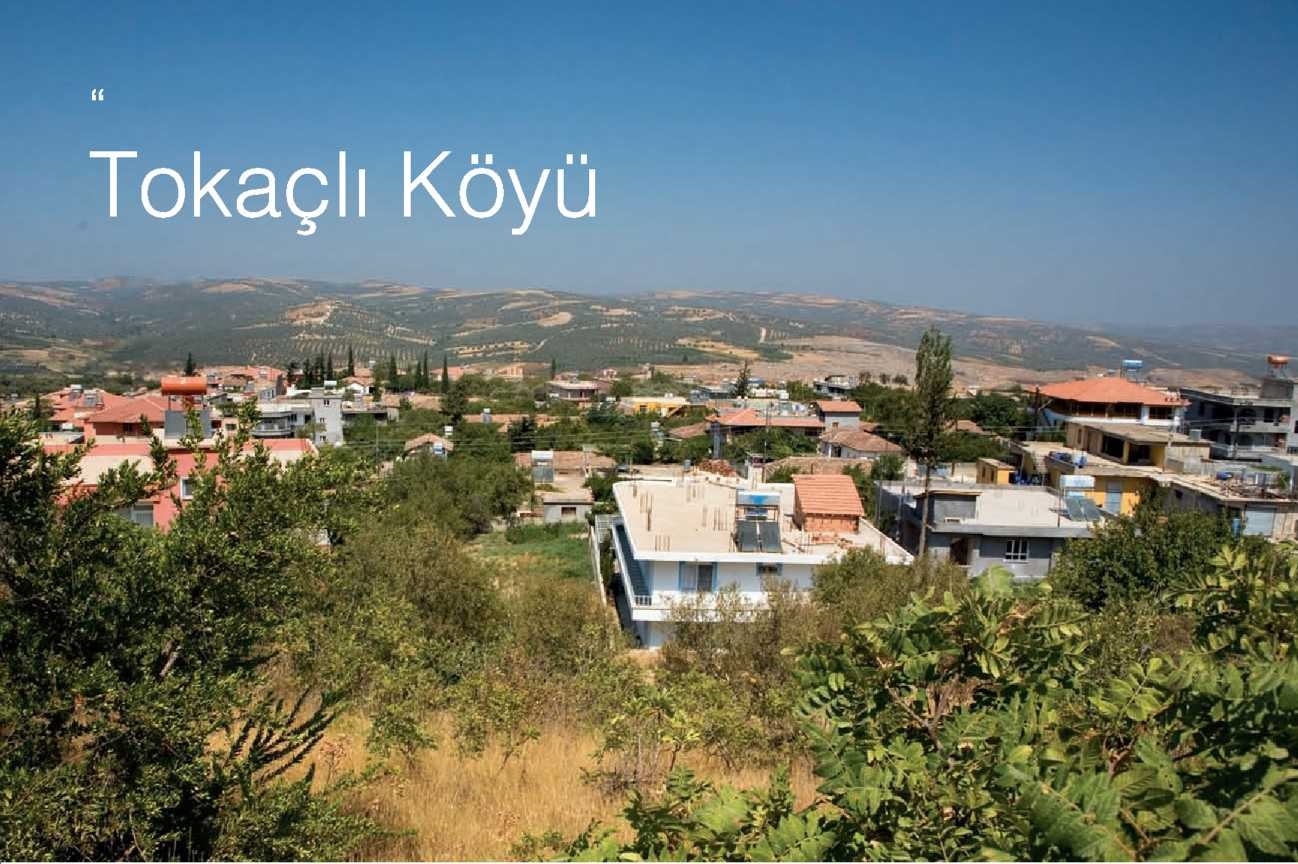 tin ve zeytun diyari altinozu nde tokacli koyu kirikhan olay gazetesi hatay da hizli dogru tarafsiz haberciligin merkezi