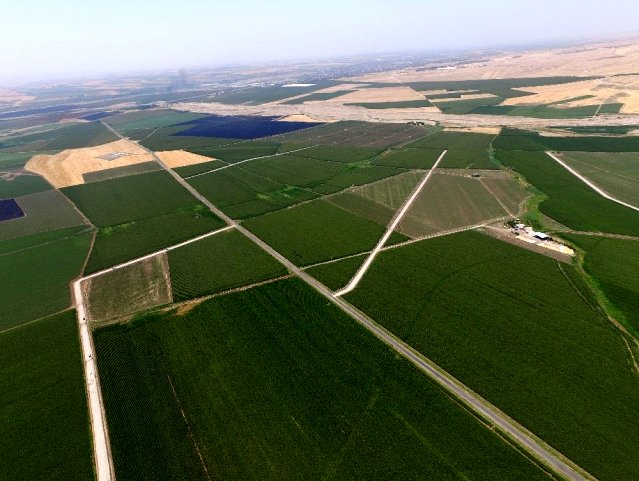 toplulastirma-araziye-deger-katiyor-12743983_osd