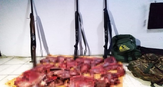 Kaçak yaban keçisi avına 79 bin lira ceza