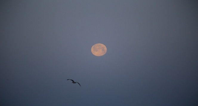 Süper Ay’ın kartpostallık doğuşu ve batışı