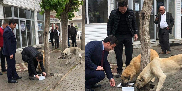 Kumlu’da Kaymakam Ve Belediye Başkanı hayvanlar için sokaklara mama bıraktı