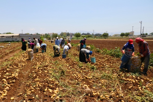 Mevsimlik tarım işçileriyle ile ilgili tedbirler alındı