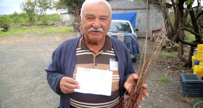 Fidan Sipariş veren Çiftçiye Kurumuş Fidan Gönderdiler