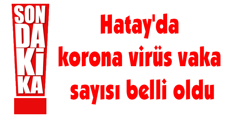 Hatay’da korona virüs vaka sayısı belli oldu