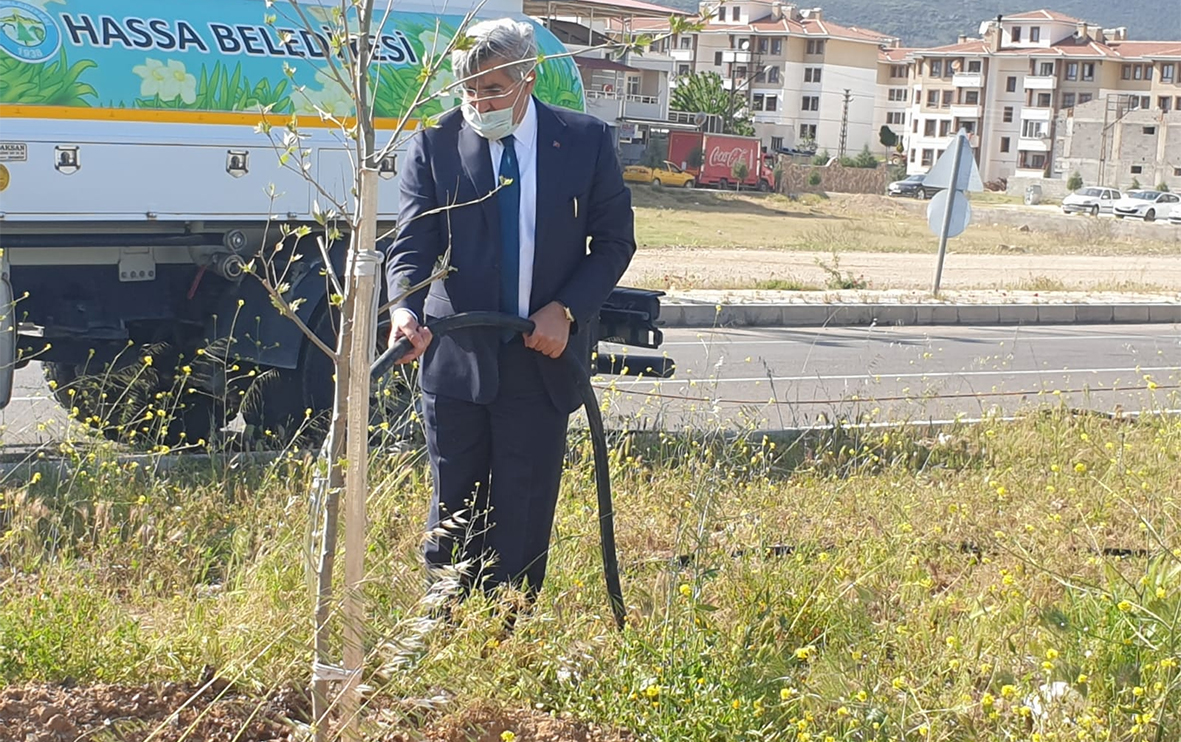 ÇINAR AĞAÇLARIYLA GÖZÜ GİBİ İLGİLENİYOR