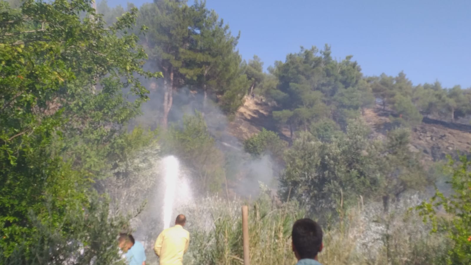 Delibekirli’de Orman Yangını