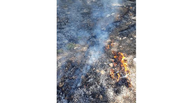 Hassa’da orman yangını, iki dekar alan zarar gördü