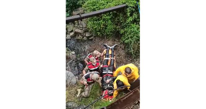 Otomobil dereye uçtu: 2 yaralı