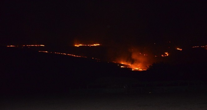 Kırıkhan’da Zeytin Ağaçları Kül Oldu