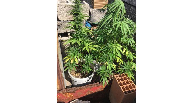 İskenderun’da uyuşturucu operasyonu