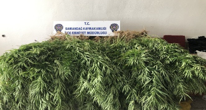 Samandağ’da uyuşturucu operasyonu