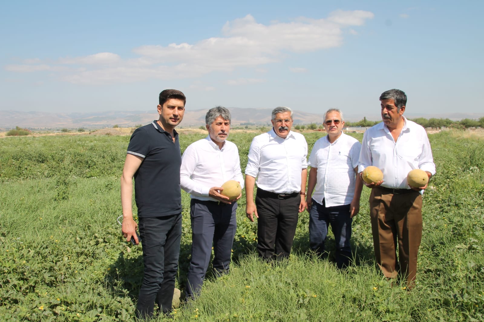 KIRIKHAN’DA KAVUN  HASADI BAŞLADI