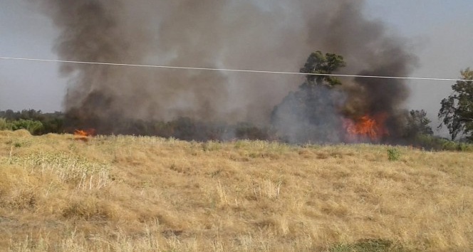 Kırıkhan’da çiftlik yangını