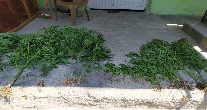 Dörtyol’da uyuşturucu operasyonu