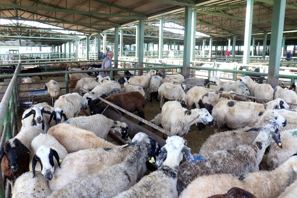 Kurban Bayramı Tedbirleri Açıklandı