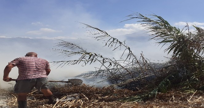 Samandağ’da sazlık yangını