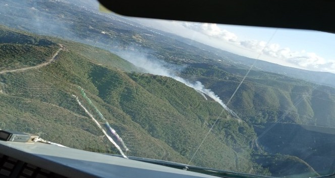 Hatay’da orman yangını