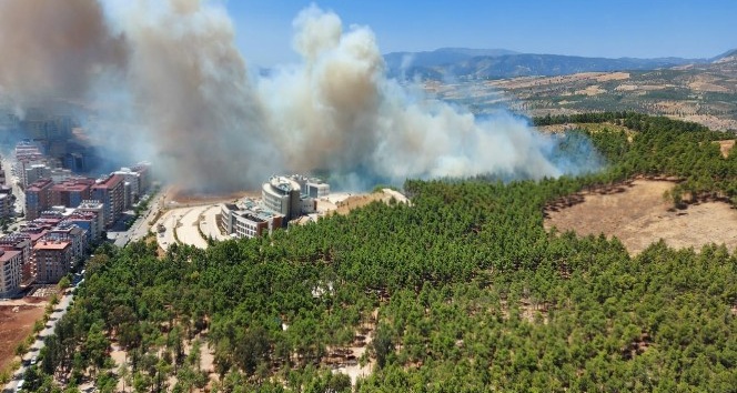 Mesire alanında çıkan yangın kontrol altına alındı