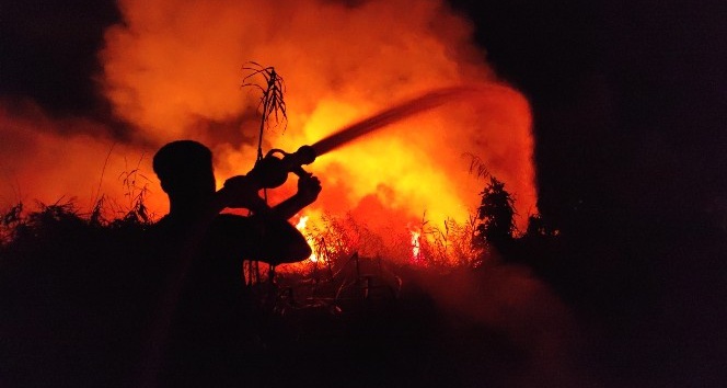 Kamışlık alandaki yangın korkuttu
