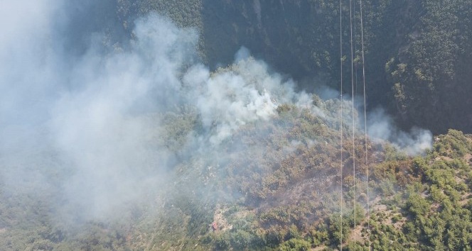 Hatay’daki orman yangınında 2 hektarlık alan zarar gördü