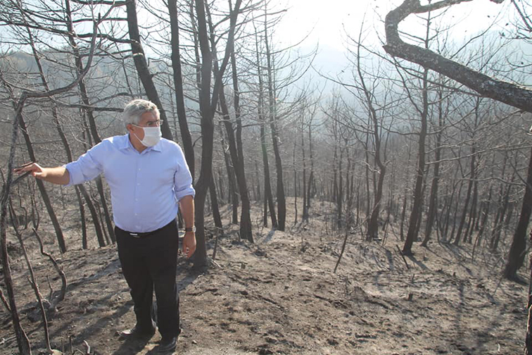 YAYMAN”YANAN ORMANLIK ALANININ TAMAMINI AĞAÇLANDIRACAĞIZ