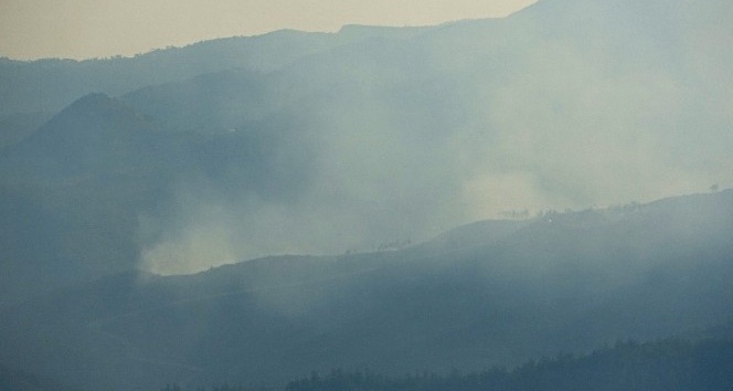 Suriye sınırındaki orman yangını sürüyor