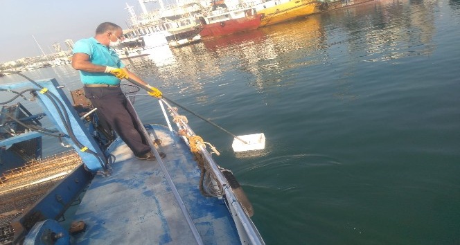 Hatay’daki sahil ve kumsallardan 5 ayda 462 ton atık toplandı